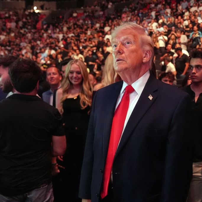 Netz-Skandal um Influencerin - Trump-Schönheit legt Millionen Follower rein