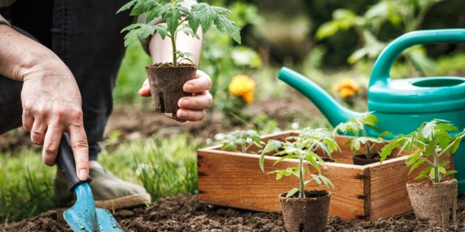 Nach den Eisheiligen