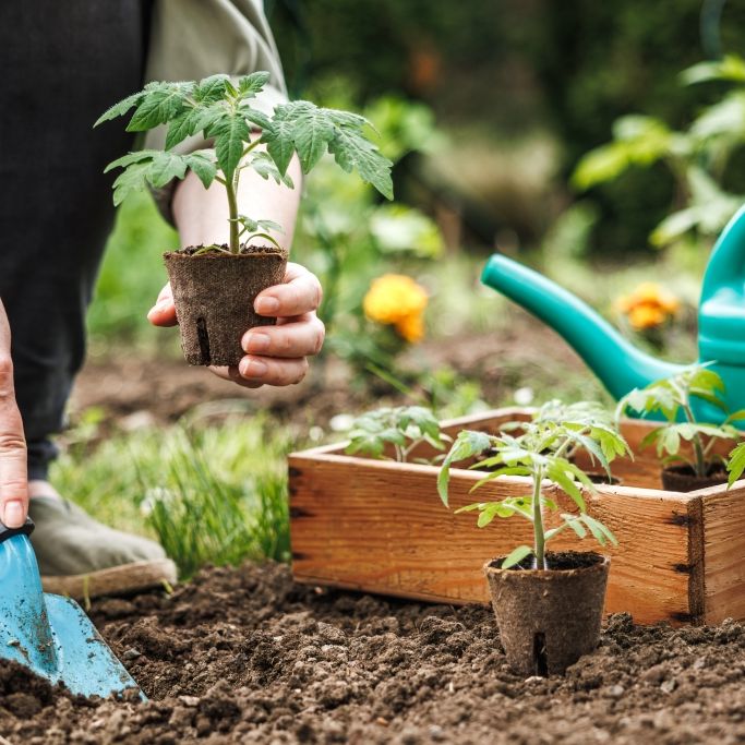 Die wichtigsten Gartenarbeiten im Mai im Überblick