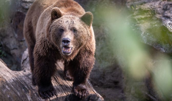 Tödliche Attacke in Polen