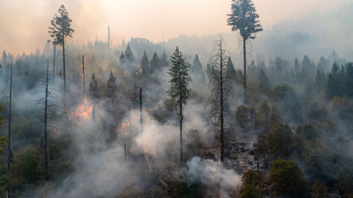 Schon kleine Funken k&ouml;nnen f&uuml;r trockene W&auml;lder brandgef&auml;hrlich werden. (Foto)