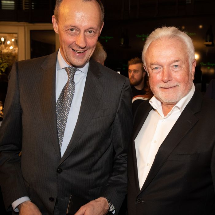 Wolfgang Kubicki beleidigt Friedrich Merz