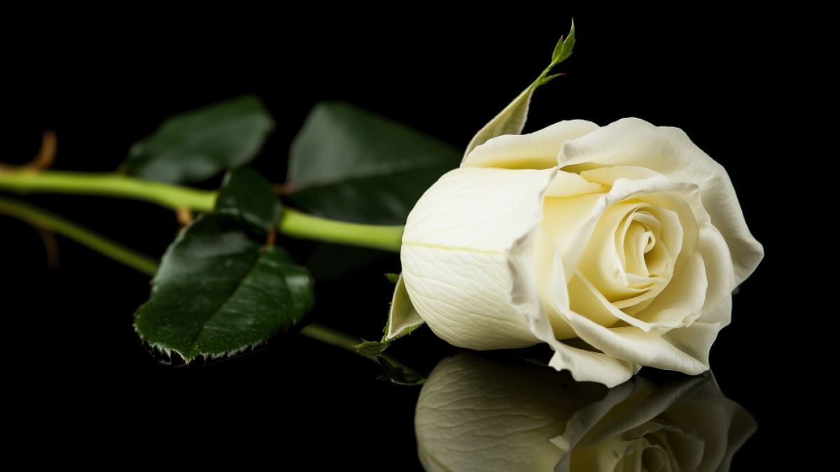 Gleich mehrere schmerzhafte Abschiede sorgten in dieser Woche f&uuml;r Schlagzeilen. (Foto)