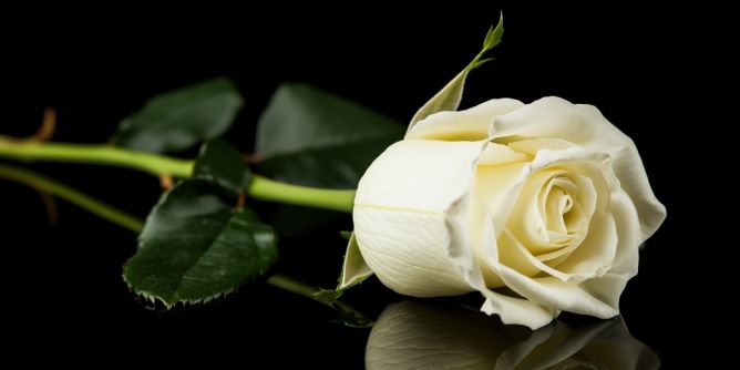 Mehrere prominente Todesfälle