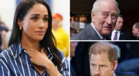 Meghan Markle, König Charles III. und Prinz Harry sorgten diese Woche dafür, dass in den Royals-News eine Schlagzeile auf die andere folgte.