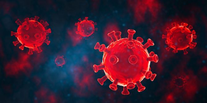 Neuartiges Virus entdeckt