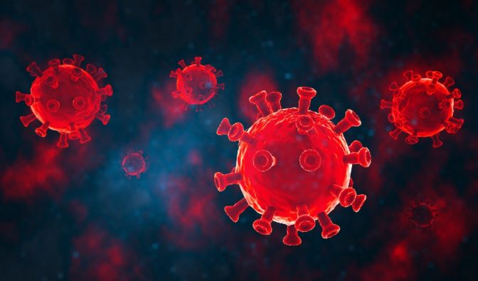 Neuartiges Virus entdeckt