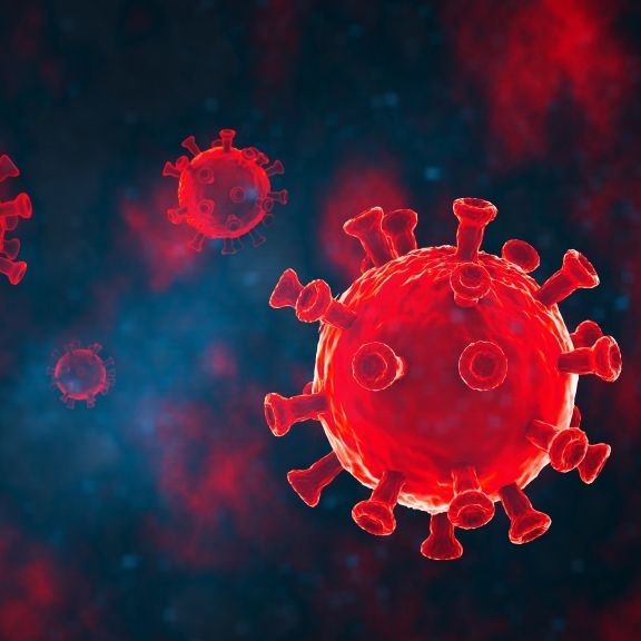 Coronavirus mit neuartigen Eigenschaften - Warnung vor CcCoV-KY43