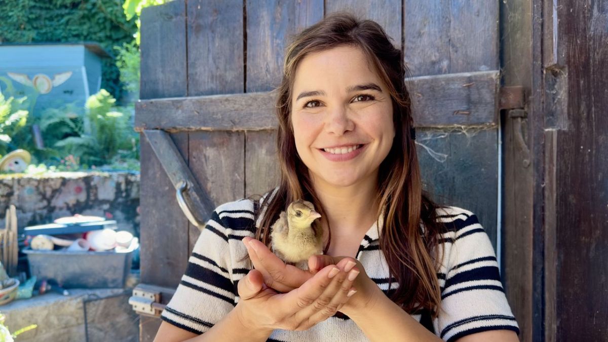 Anna und die Haustiere bei KiKA (Foto)