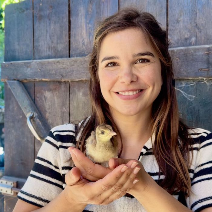 Anna und die Haustiere bei KiKA
