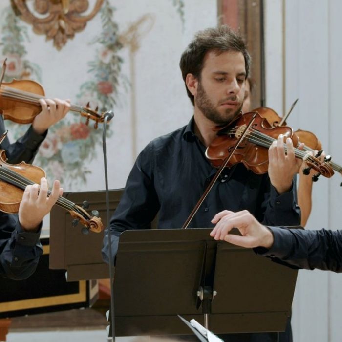 Haydn auf Schloss Esterházy mit Il Giardino Armonico bei Arte