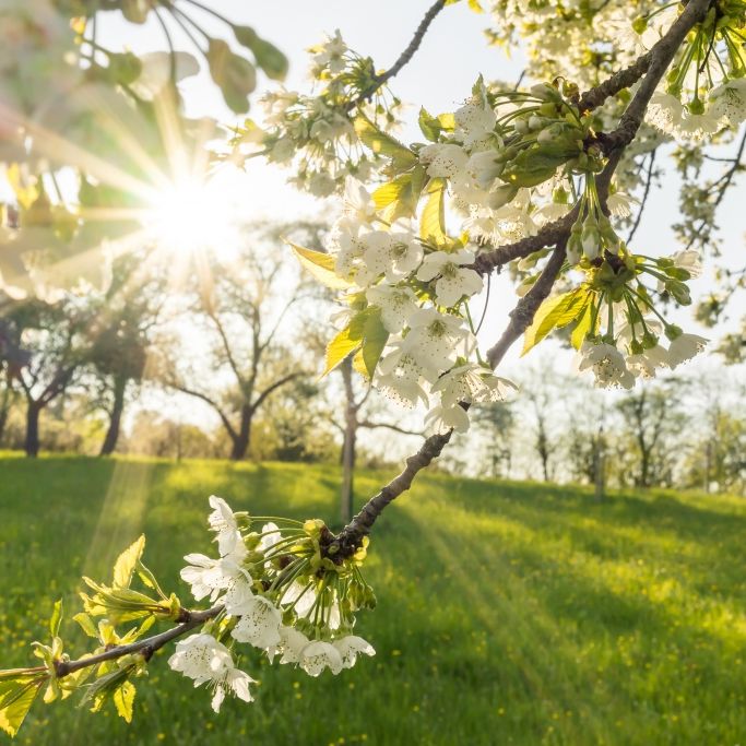 Der Mai beginnt sommerlich.