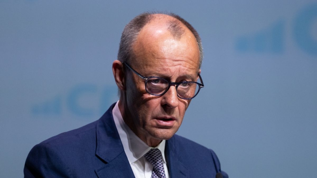 Friedrich Merz wird f&uuml;r seine Rede scharf kritisiert. (Foto)