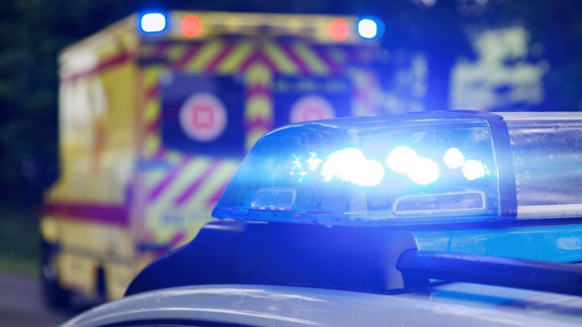 In den USA wurde ein sieben Monate altes Baby Opfer einer Hunde-Attacke. Der Familienhund wurde eingeschl&auml;fert (Symbolbild). (Foto)