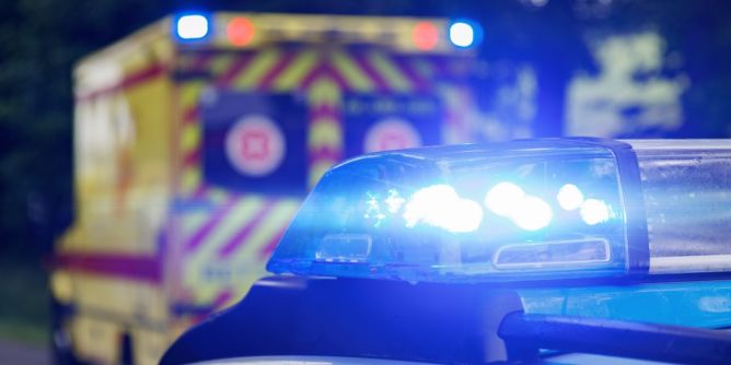 Hunde-Attacke endet tödlich