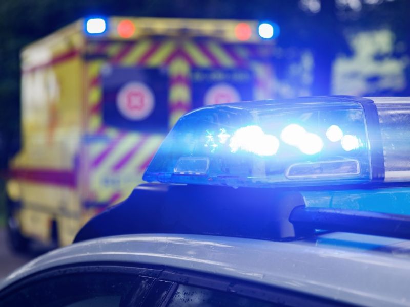 Hunde-Attacke endet tödlich: Familienhund tötet sieben Monate altes Baby - Mutter ebenfalls verletzt