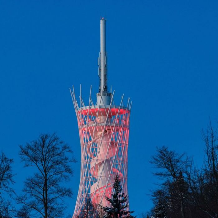 Im Bann des Hexenbesens bei MDR