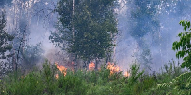 Waldbrandgefahr aktuell