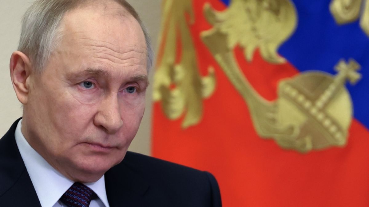 Wladimir Putin plant, eine Feuerpause einzulegen. (Foto)