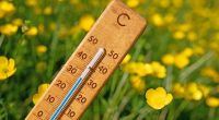 Temperatur-Achterbahn im Mai: Deutschland zwischen Frost und Sommerhitze.