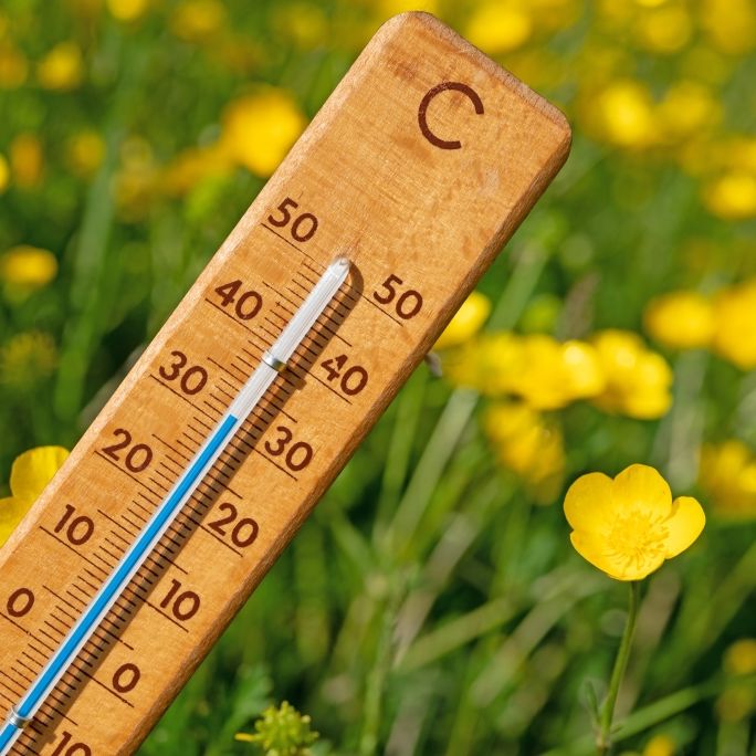 Temperatur-Achterbahn im Mai: Deutschland zwischen Frost und Sommerhitze.