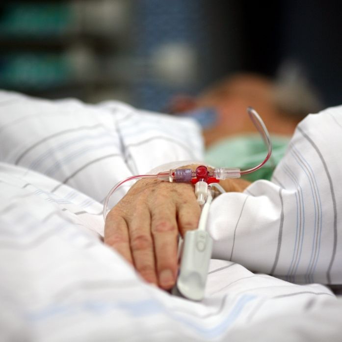 Im Raum Bad Wörishofen (Landkreis Unterallgäu, Bayern) ist eine Person infolge einer Infektion mit dem Borna-Virus gestorben - es ist nicht der erste Todesfall im Freistaat (Symbolfoto).