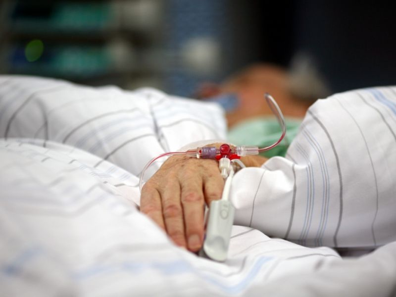 Im Landkreis Unterallgäu, Bayern: Borna-Virus fordert Todesopfer - was schützt vor einer BoDV-1-Infektion?