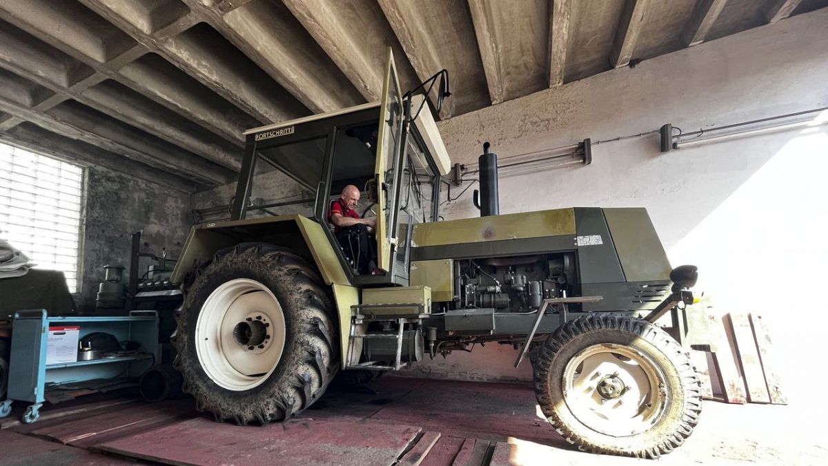 Technik, Tiere, Sensationen bei MDR (Foto)