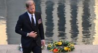 Einst flogen Prinz Harry als lebensfrohem Party-Royal alle Herzen zu - nun ist der Königssohn der Einschätzung eines Adels-Experten zufolge 