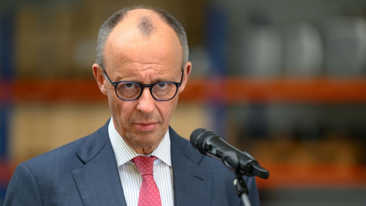 Friedrich Merz hat laut Rhetorik-Experte Michael Ehlers ein Kommunikationsproblem. (Foto)