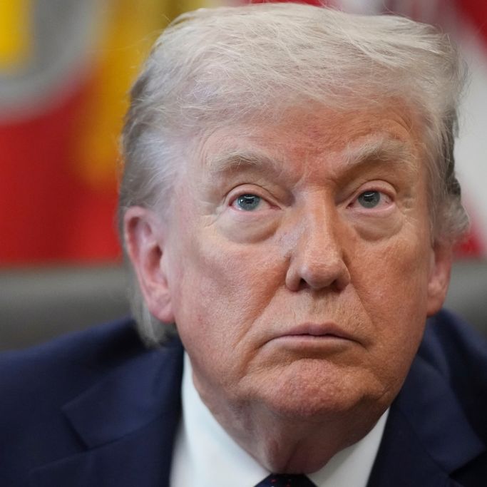 Nach den Virus-Toten auf See - jetzt äußert sich auch Trump zum Hantavirus
