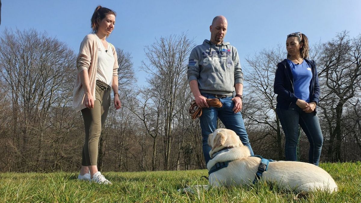 Der Hundeprofi - R&uuml;tters Team bei VOX (Foto)