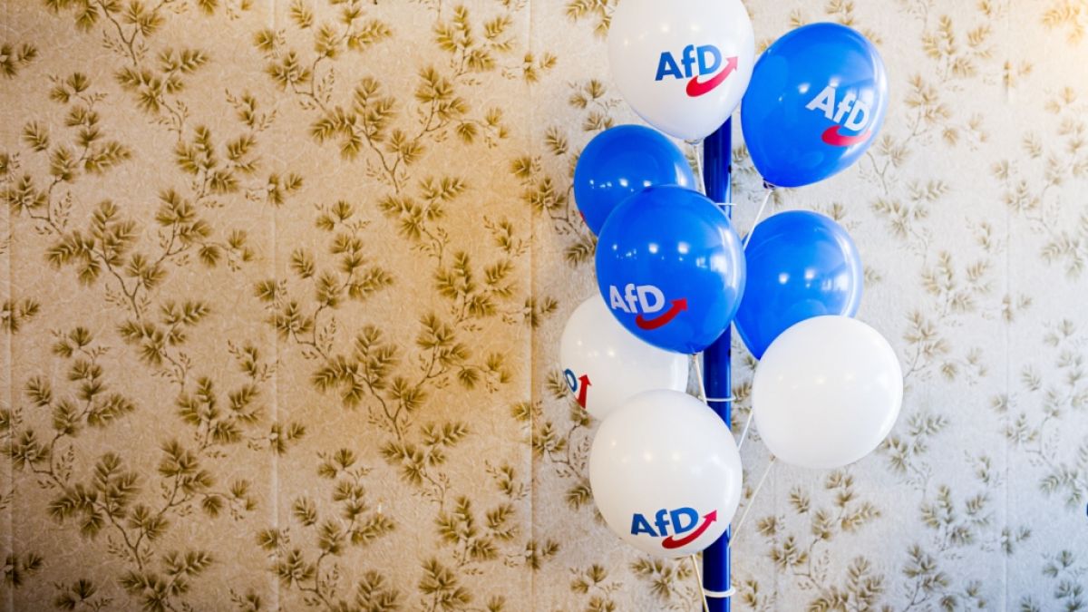 Die AfD baut ihren Vorsprung auf die Unionsparteien weiter aus, wie eine aktuelle Insa-Umfrage belegt. (Foto)