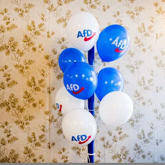 Union bricht rekordverdächtig ein - AfD baut Vorsprung weiter aus