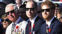 König Charles hat einen Geheimplan geschmiedet, um seine zerstrittenen Söhne, William und Harry, wieder zusammenzubringen.