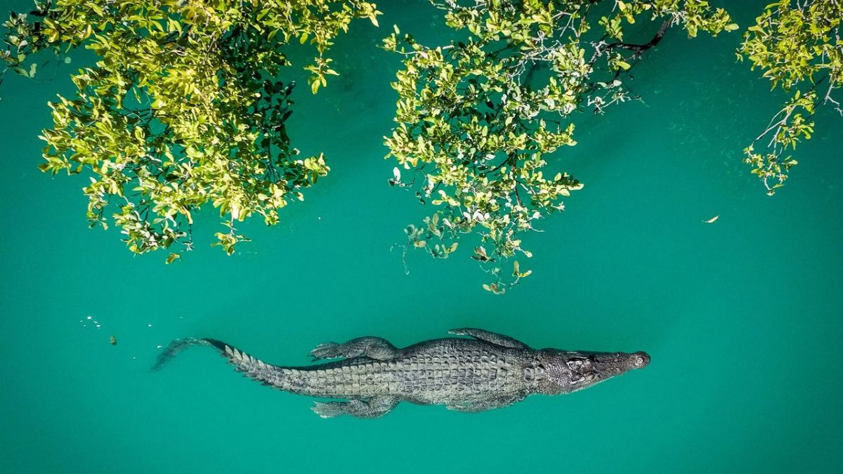 Australiens wilder Westen bei Arte (Foto)