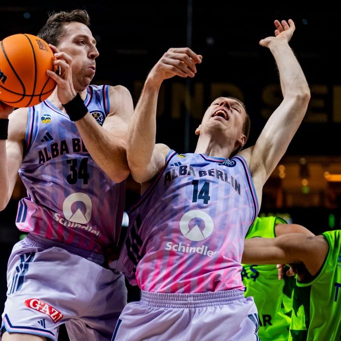 Statistiken und Steckbrief des Centers von ALBA BERLIN