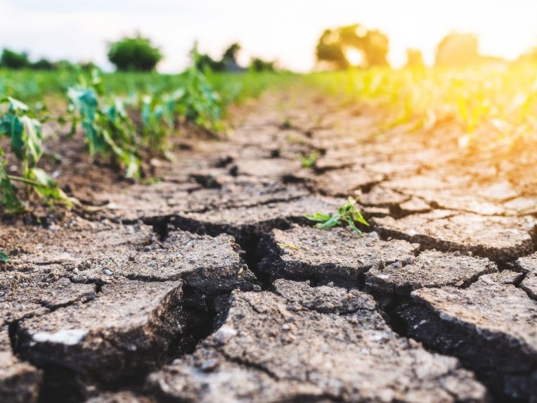 Super-El-Niño befürchtet: Droht der heißeste Sommer aller Zeiten? Forscher sehen gefährliche Entwicklung
