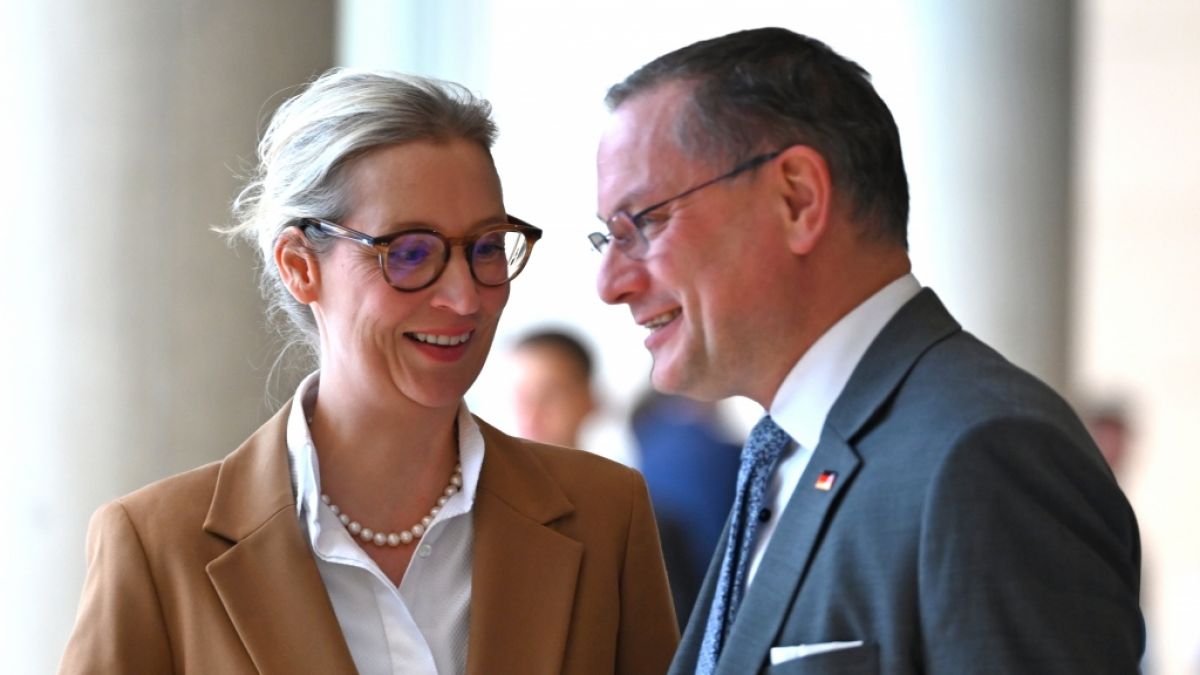 Die AfD ist in der aktuellen Sonntagsfrage st&auml;rkste Kraft. (Foto)