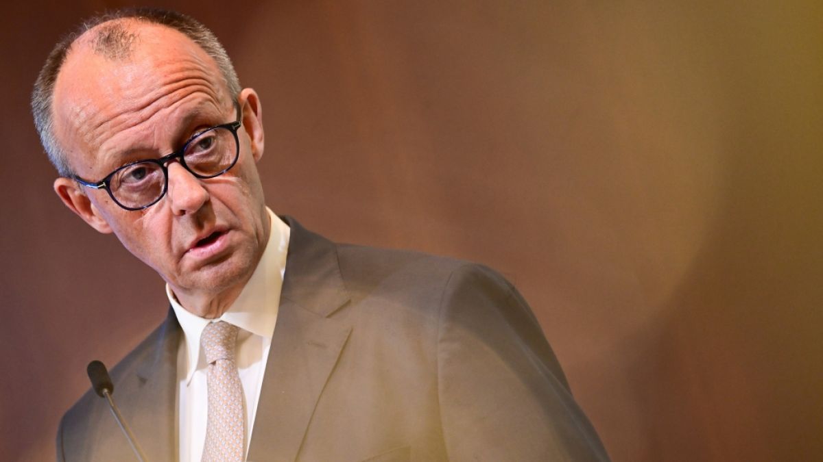 AfD auf dem Vormarsch: Experten sehen Vertrauenskrise der Merz-Regierung (Foto)
