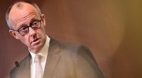 AfD auf dem Vormarsch: Experten sehen Vertrauenskrise der Merz-Regierung