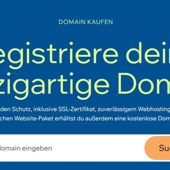 Wie Wix die Einrichtung und Verwaltung deiner Domain vereinfacht