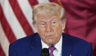 Donald Trump hat laut eines Strategen den bislang größten Fehler seiner Präsidentschaft begangen.