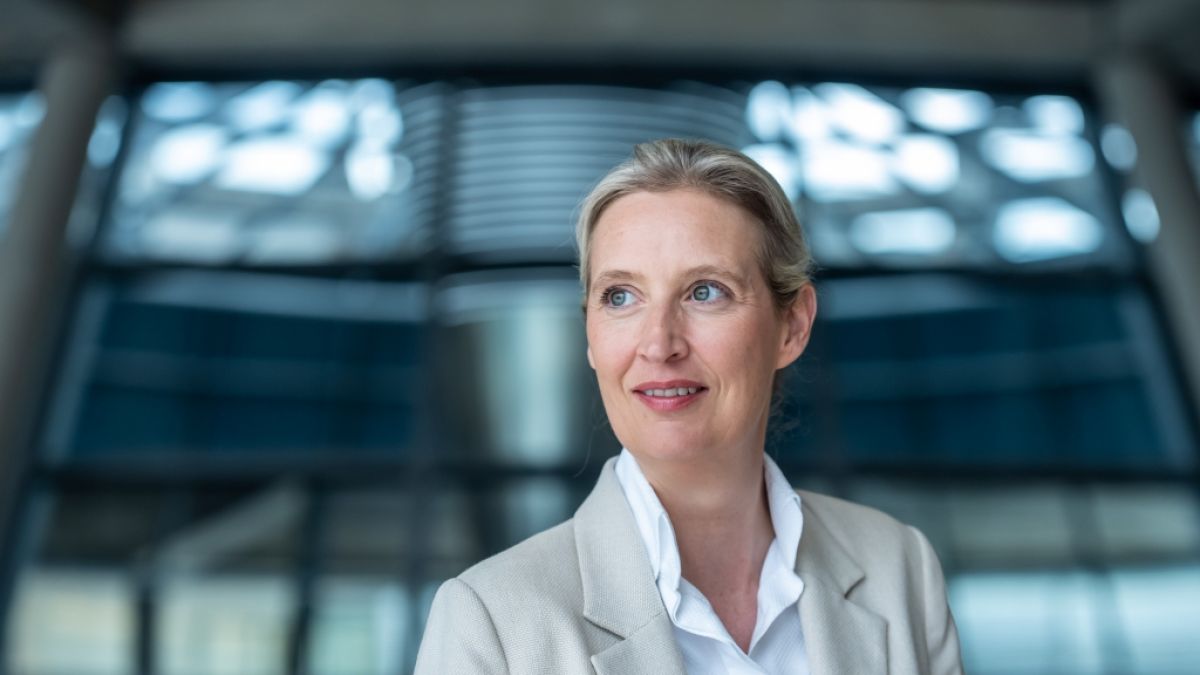 AfD-Chefin Alice Weidel r&uuml;ckt im neuesten INSA-Ranking in die Spitzengruppe vor. (Foto)