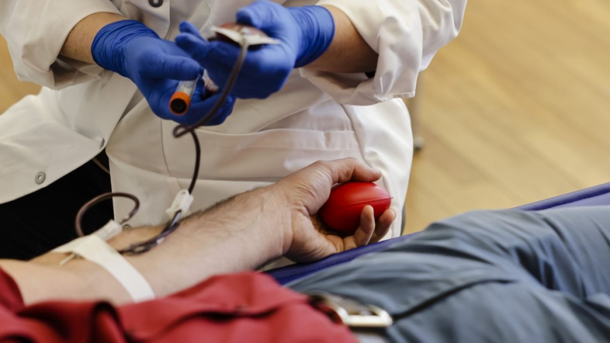 Blutspenden retten Menschenleben. (Foto)