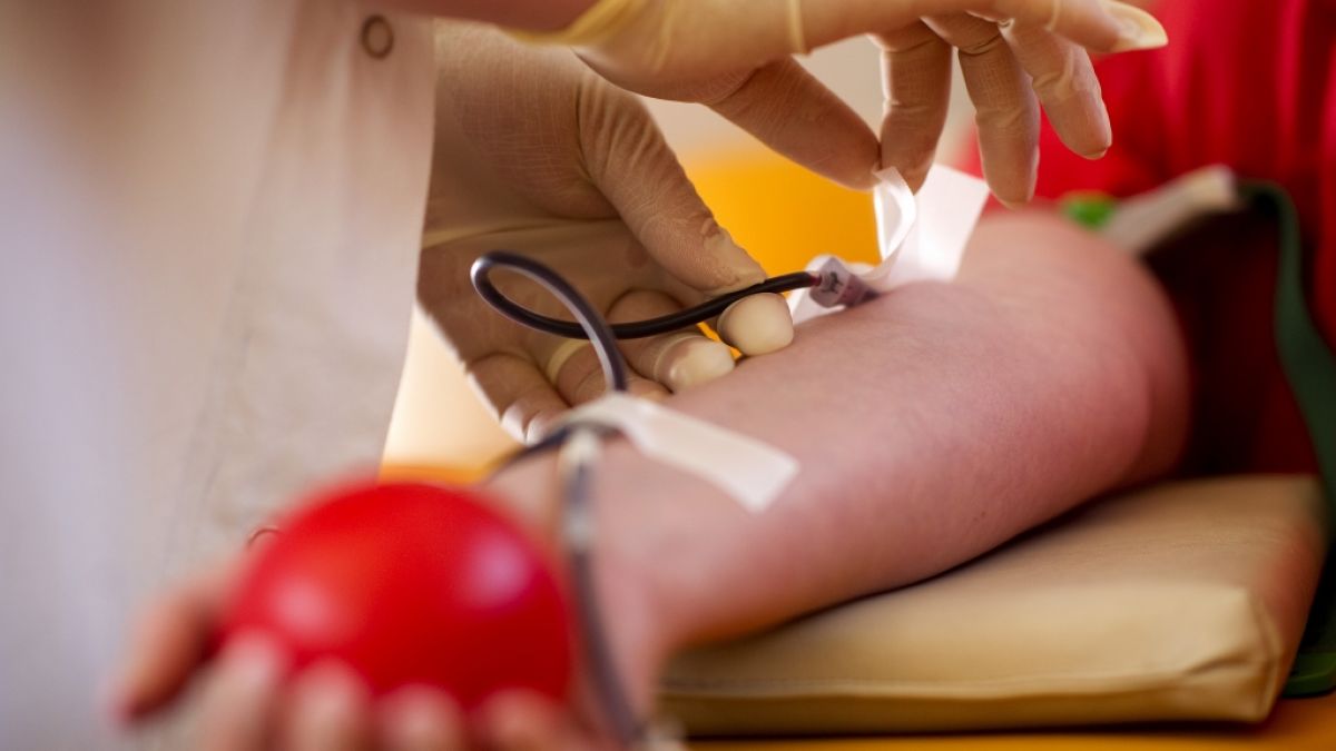 Blutspenden retten Menschenleben. (Foto)