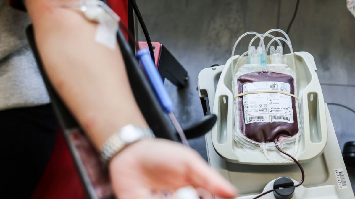 Blutspenden retten Menschenleben. (Foto)