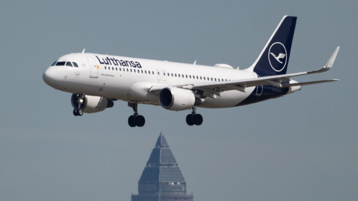K&ouml;nnten Flugreisen billiger werden? Vermutlich nur geringf&uuml;gig - ein echter Preissturz bleibt wahrscheinlich aus. (Foto)