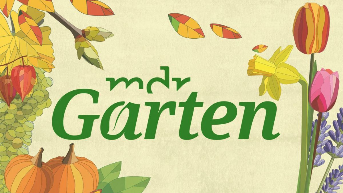 MDR Garten bei MDR (Foto)