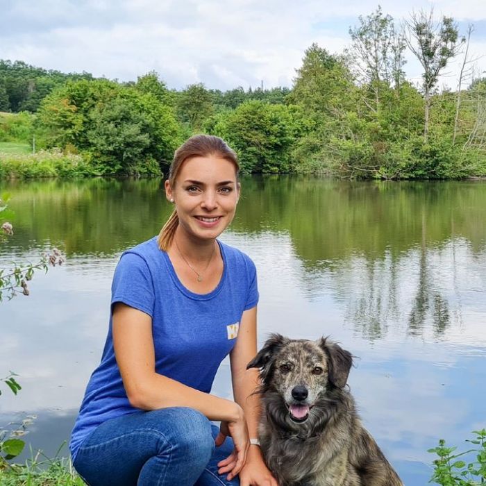Was passiert in Folge 4 des Hundetrainings?